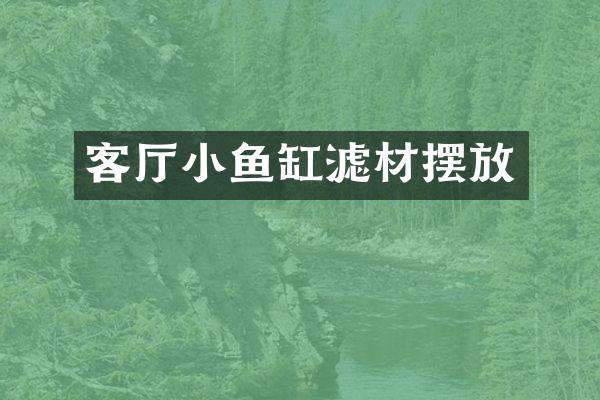 客厅小鱼缸滤材摆放