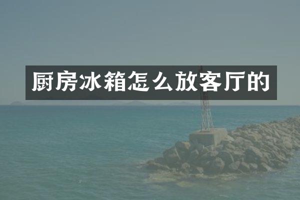 厨房冰箱怎么放客厅的