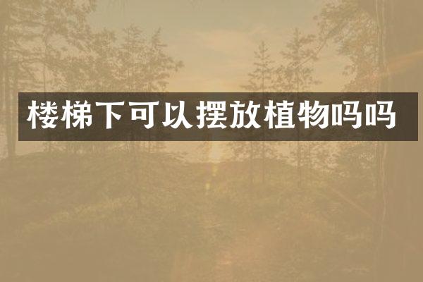 楼梯下可以摆放植物吗吗
