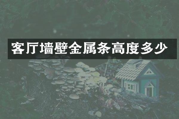 客厅墙壁金属条高度多少