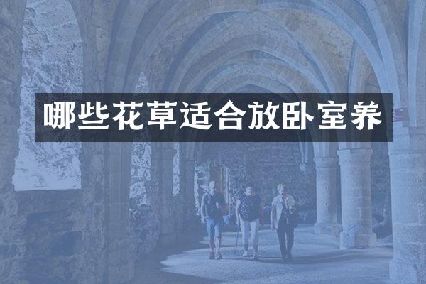 哪些花草适合放卧室养