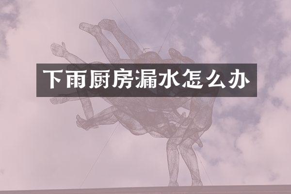 下雨厨房漏水怎么办