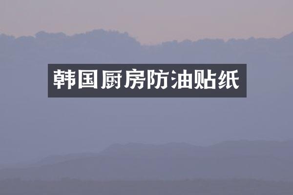 韩国厨房防油贴纸