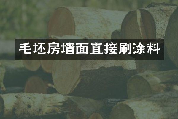 毛坯房墙面直接刷涂料