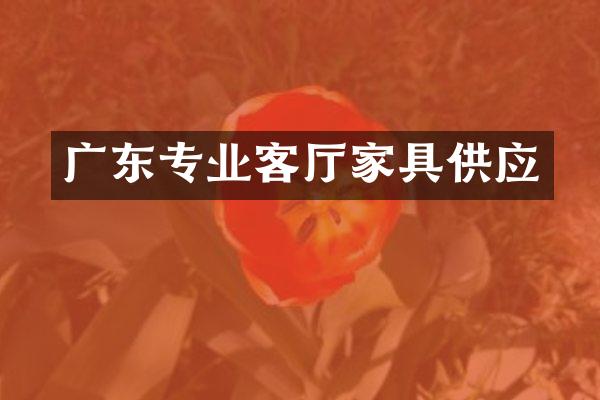 广东专业客厅家具供应