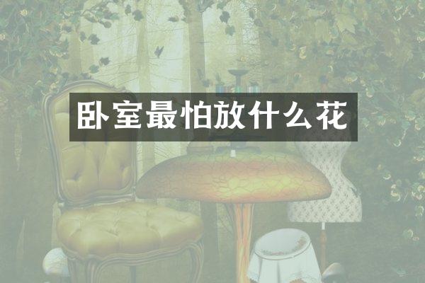 卧室最怕放什么花