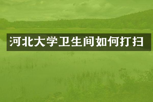河北大学卫生间如何打扫