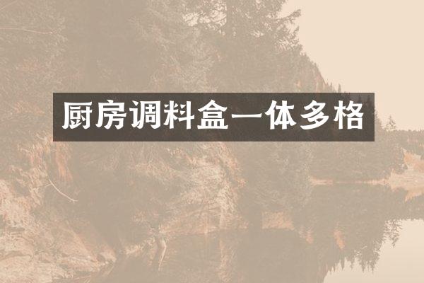 厨房调料盒一体多格