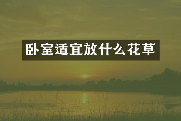卧室适宜放什么花草