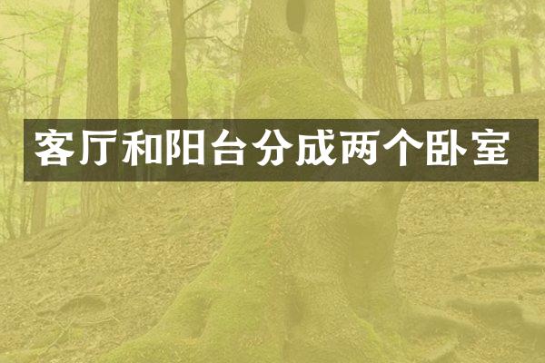 客厅和阳台分成两个卧室