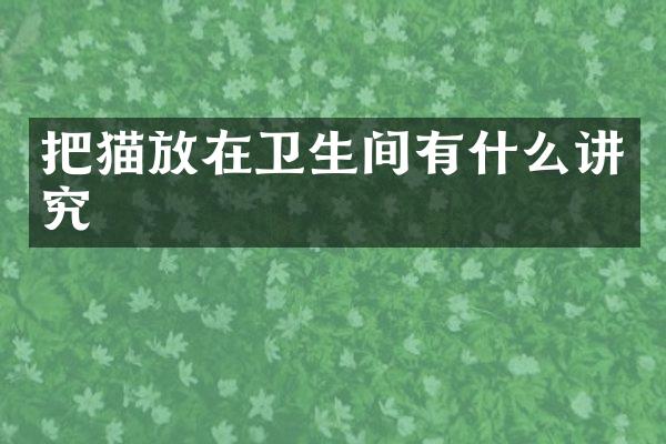 把猫放在卫生间有什么讲究