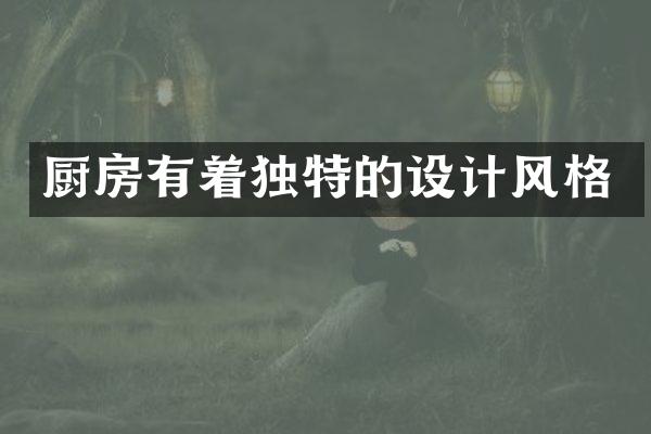 厨房有着独特的设计风格