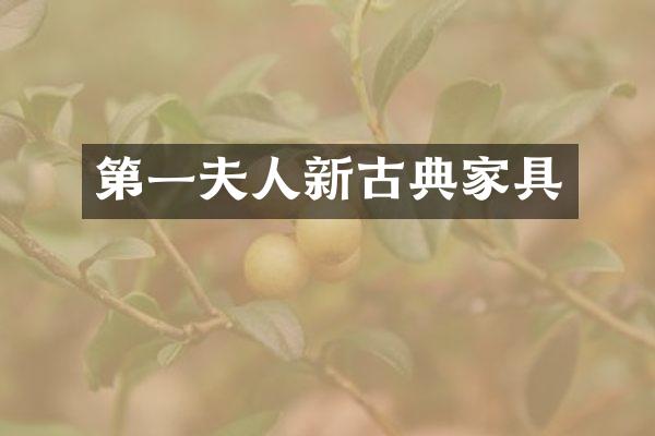 第一夫人新古典家具