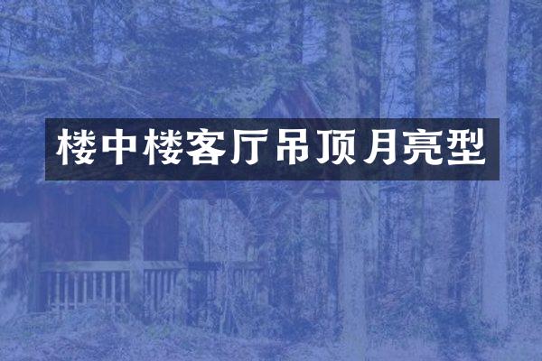 楼中楼客厅吊顶月亮型