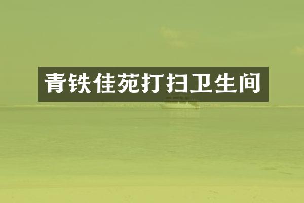 青铁佳苑打扫卫生间