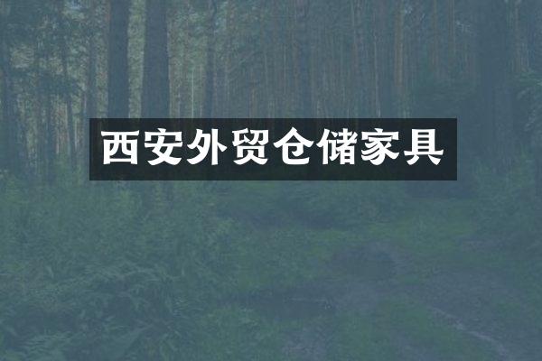 西安外贸仓储家具