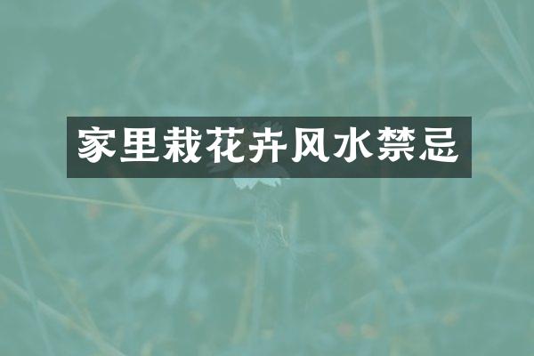 家里栽花卉风水禁忌