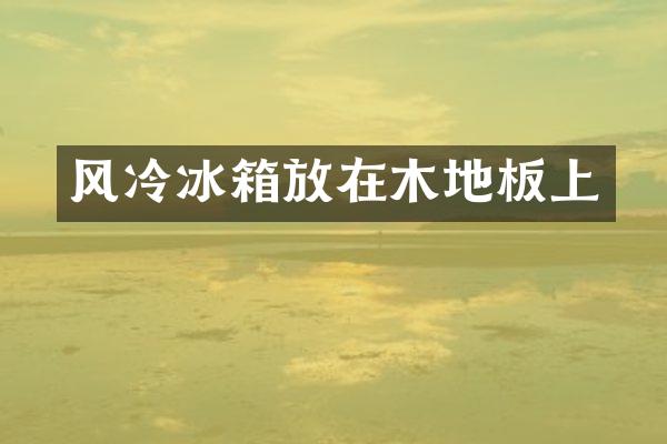 风冷冰箱放在木地板上