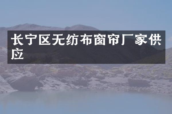 长宁区无纺布窗帘厂家供应