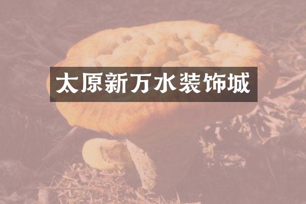 太原新万水装饰城