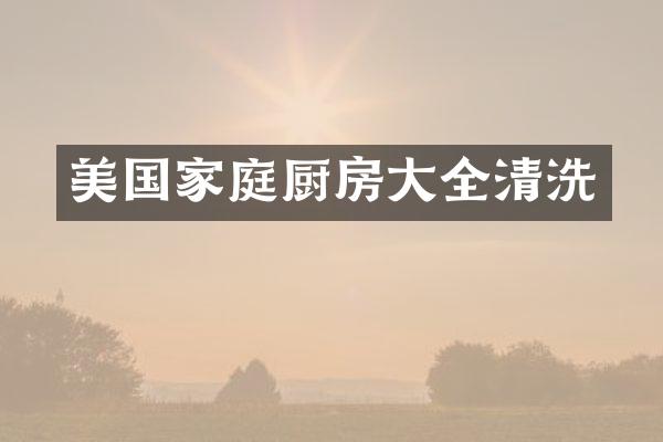 美国家庭厨房大全清洗