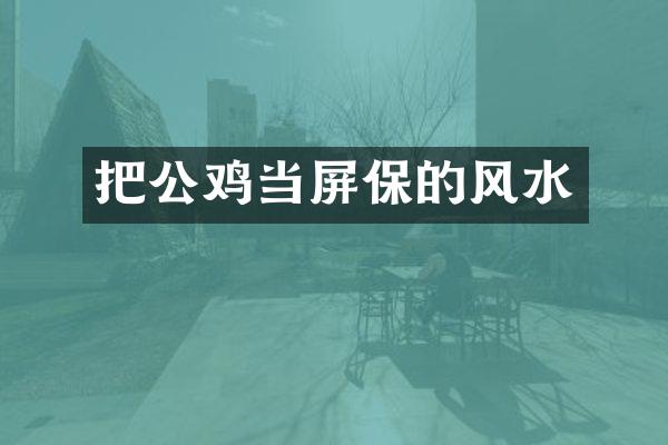 把公鸡当屏保的风水