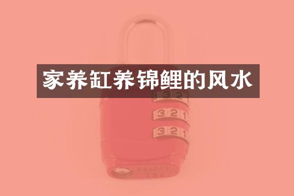 家养缸养锦鲤的风水