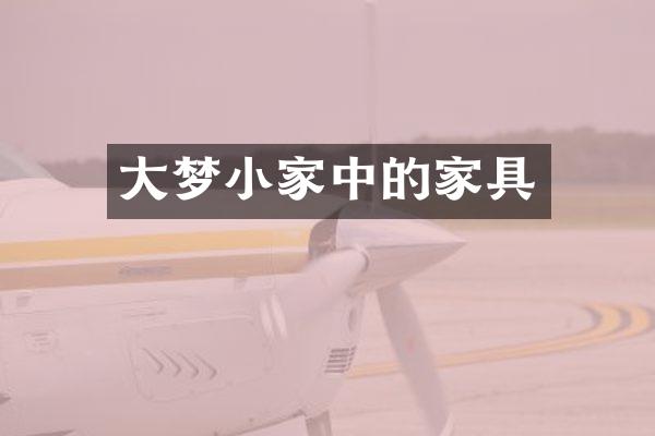 大梦小家中的家具