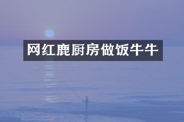 网红鹿厨房做饭牛牛