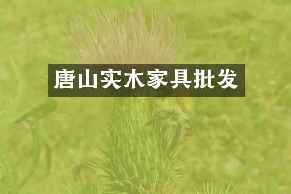 唐山实木家具批发