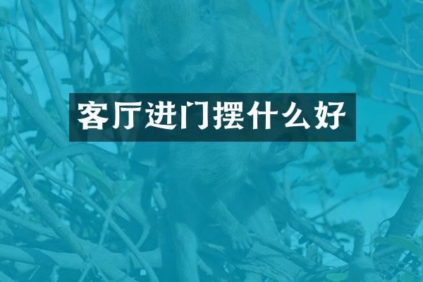 客厅进门摆什么好