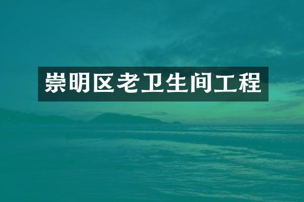 崇明区老卫生间工程