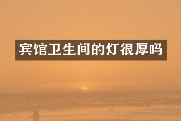 宾馆卫生间的灯很厚吗
