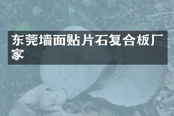 东莞墙面贴片石复合板厂家