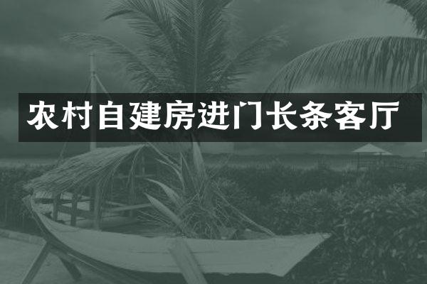 农村自建房进门长条客厅