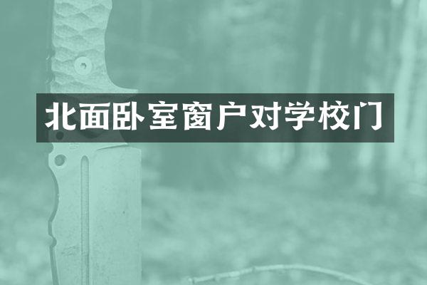 北面卧室窗户对学校门