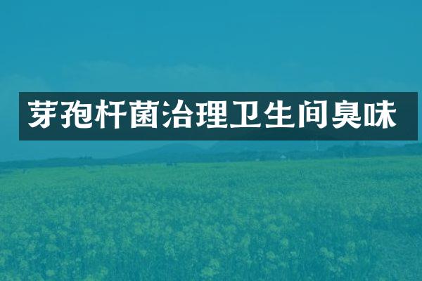 芽孢杆菌治理卫生间臭味