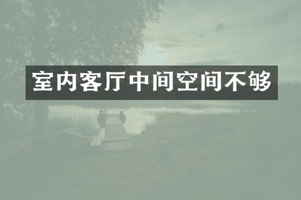 室内客厅中间空间不够