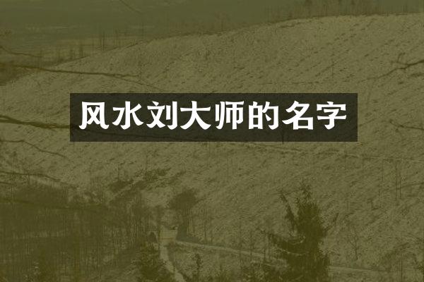 风水刘大师的名字