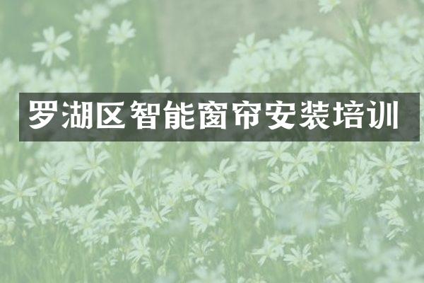 罗湖区智能窗帘安装培训
