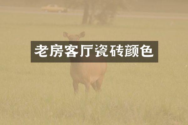 老房客厅瓷砖颜色
