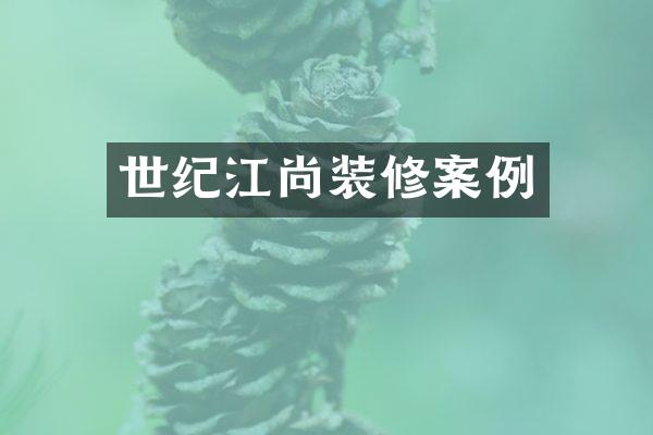世纪江尚装修案例