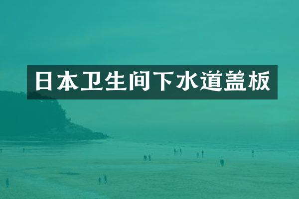 日本卫生间下水道盖板