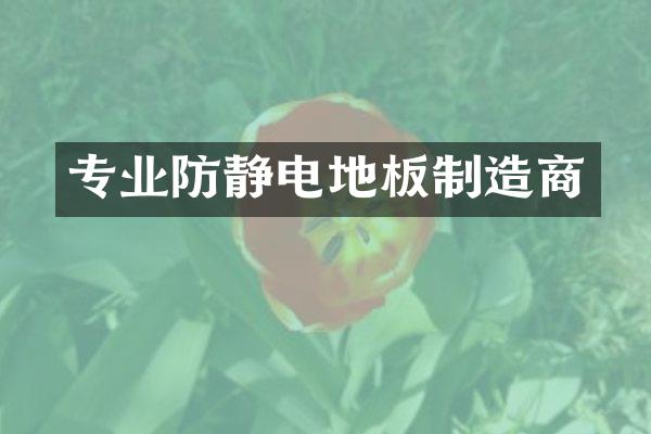 专业防静电地板制造商