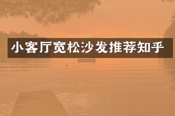小客厅宽松沙发推荐知乎