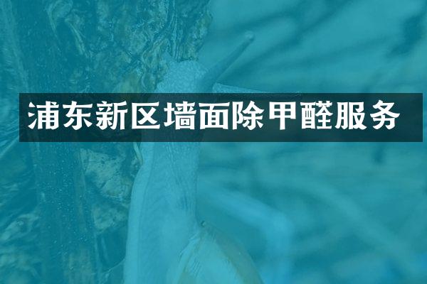 浦东新区墙面除甲醛服务