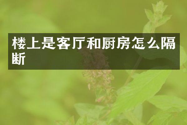 楼上是客厅和厨房怎么隔断