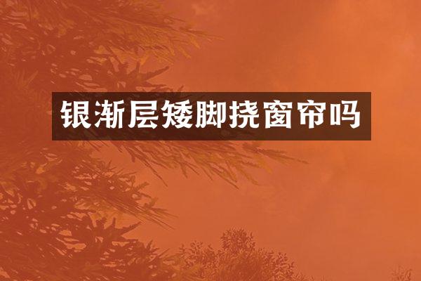 银渐层矮脚挠窗帘吗