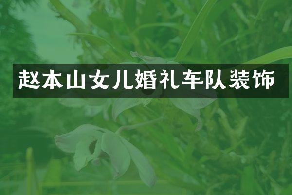 赵本山女儿婚礼车队装饰