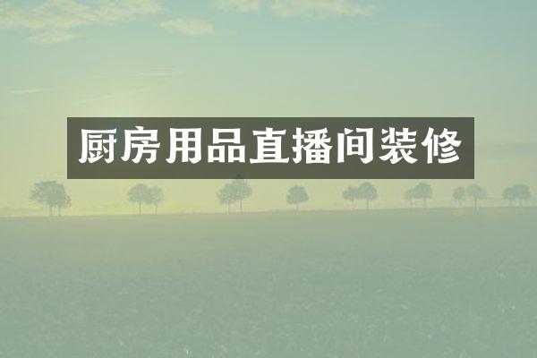 厨房用品直播间装修